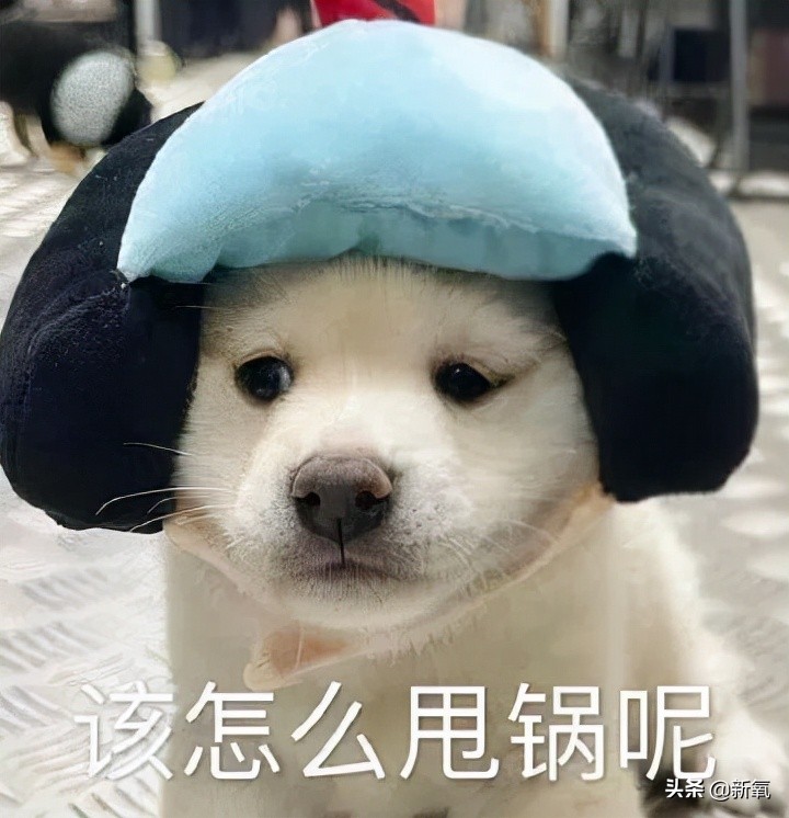 外媒评十大最帅面孔,2024年全球公认最帅面孔