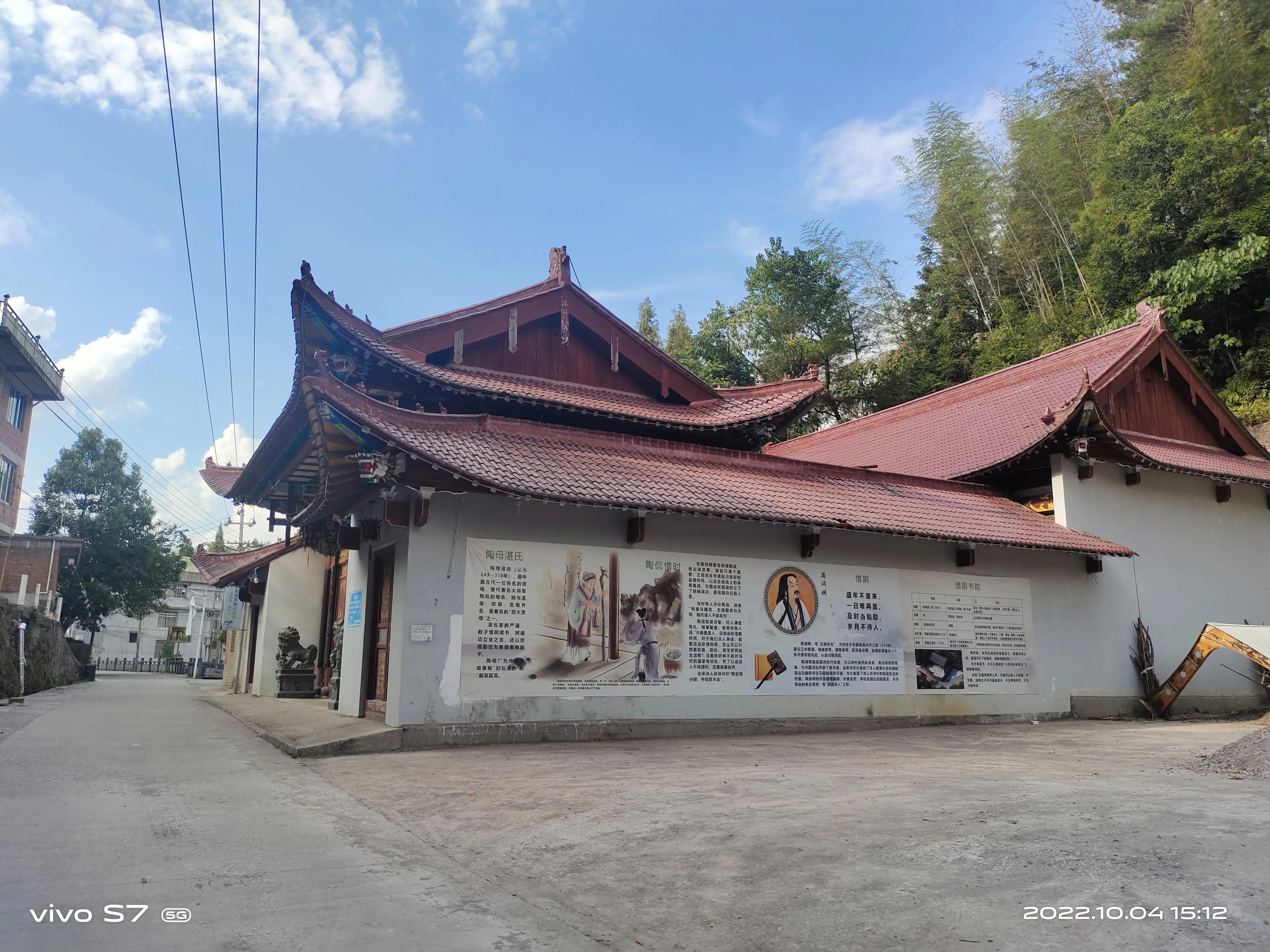 泰顺三杯香茶官网,泰顺县三杯香茶产地