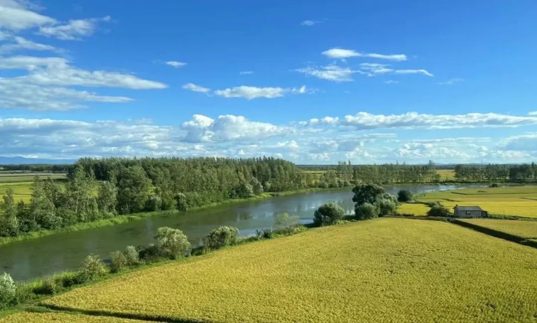 整村运营,整村运营顶层策划