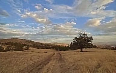 酷似马云的小男孩现状,长相酷似马云的小男孩现状