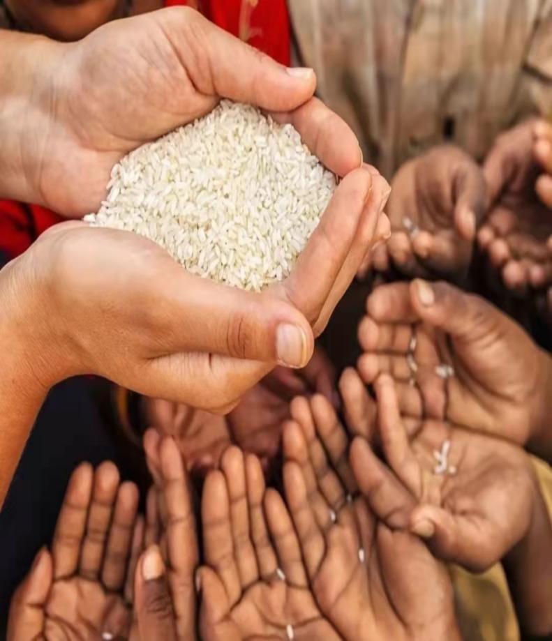 北大荒为什么退林还耕,北大荒当年咋样开垦的