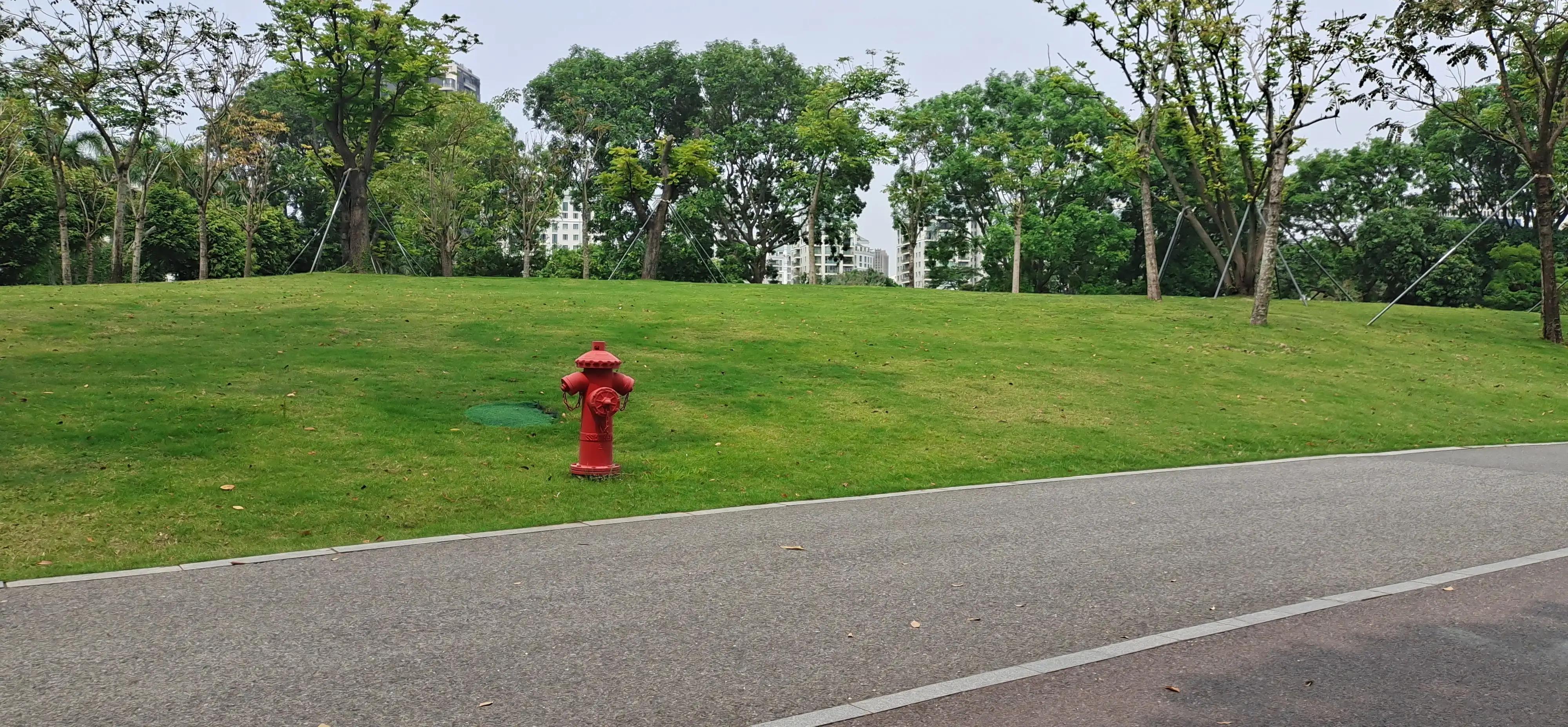 深圳荔枝公园相亲角,深圳福田荔枝公园路线