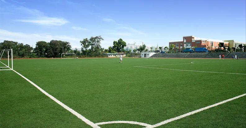 5人制足球场人造草坪,最好的人工草坪足球场