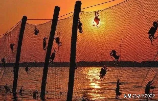 阳澄湖大闸蟹美食文章,阳澄湖大闸蟹在哪个城市