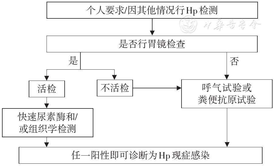 幽门螺旋杆菌四联用药指南,胃炎伴幽门螺旋杆菌阳性治疗指南