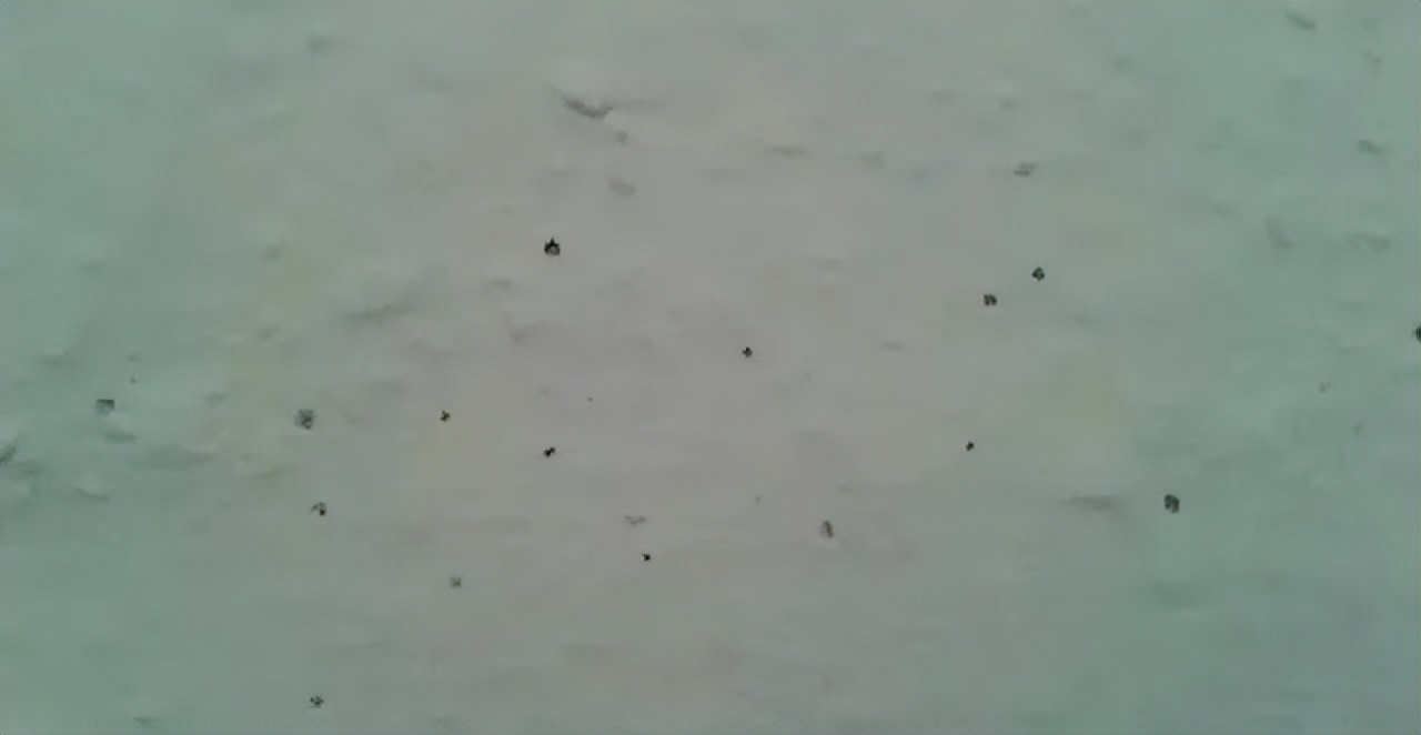 楼顶聚氨酯防水涂料施工全过程,防水涂料问题处理方法