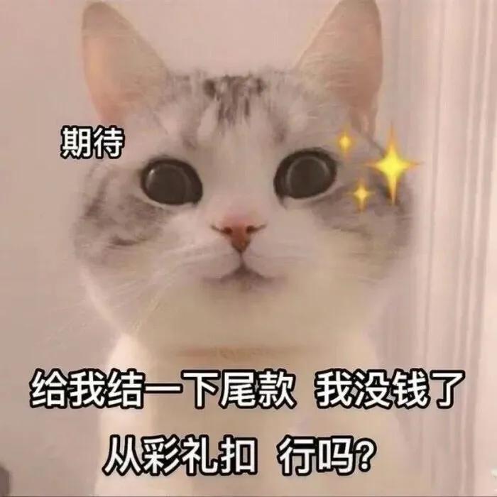 表情包美女拿东西,花钱买表情包的女生