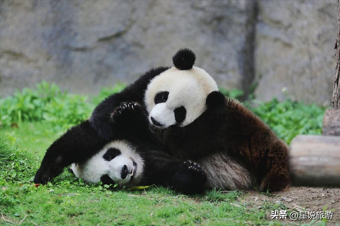 上海适合老年人去的景区,上海四星级旅游景点排名榜