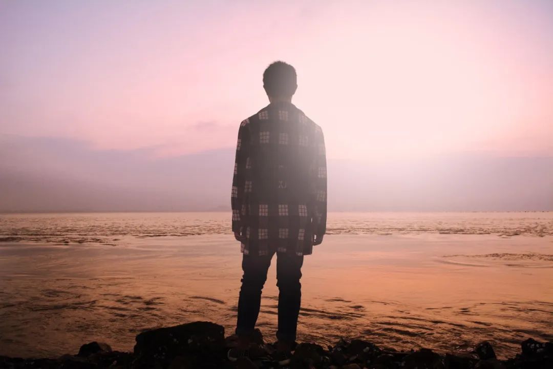 哈佛家训1-6册,哈佛家训100个智慧