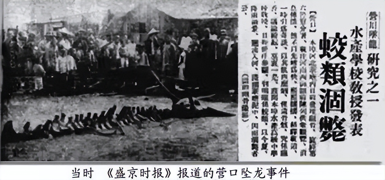 龙的物质意识,龙是人类幻想出来的么