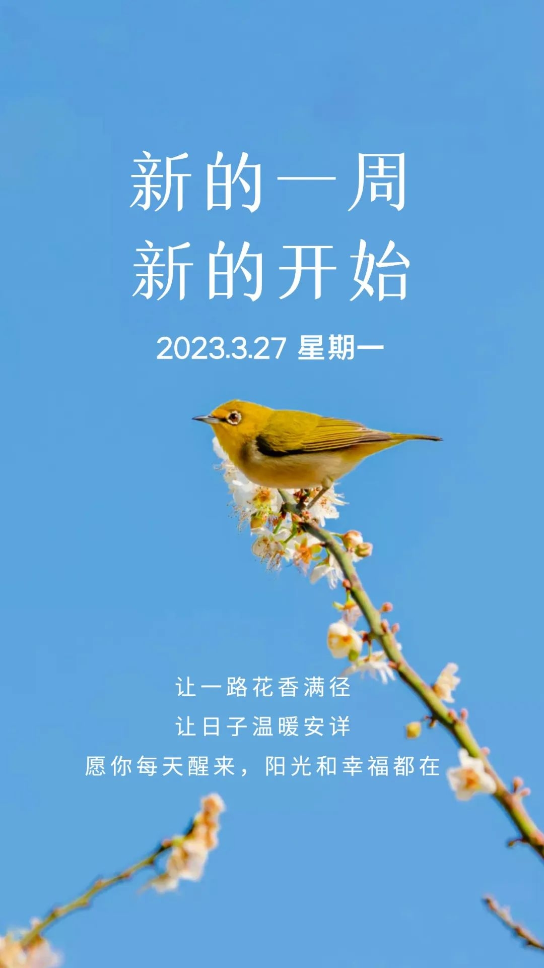 早安心语每日经典图片,早安心语短句2020早安图