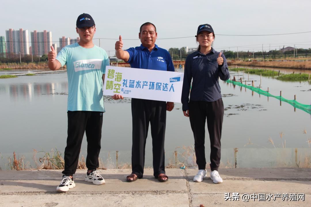 阳澄湖大闸蟹今年养蟹新技术,蟹农辛辛苦苦养了一年的大闸蟹