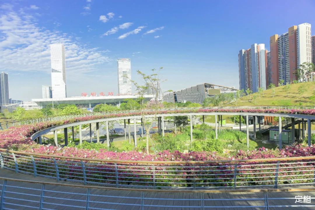 深圳免费好玩的滑梯推荐,深圳摩天滑梯