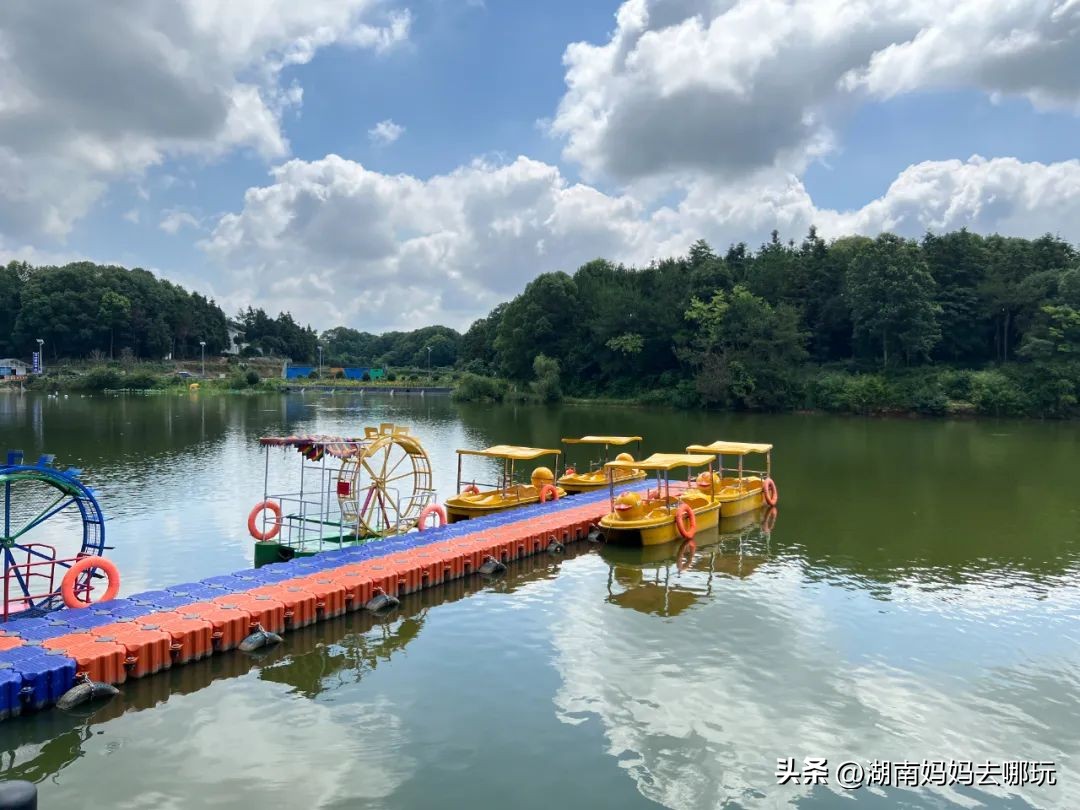 出发!长沙家门口的“非洲遛娃乐园”,小朋友最喜欢的长沙乐园!