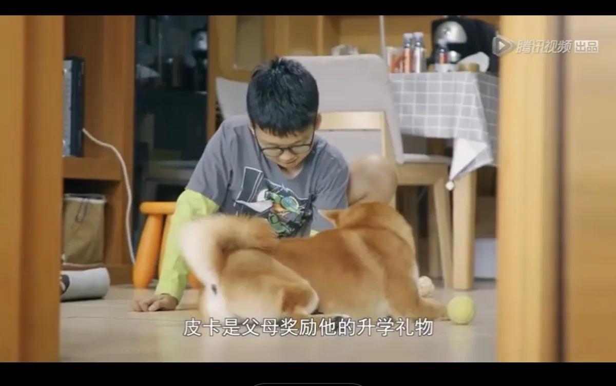 海淀妈妈“鸡娃”还“鸡狗”——妈妈中的“卷”王