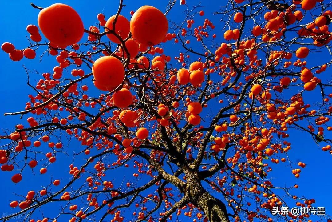 通感修辞手法的作用和答题格式,通感修辞手法的常见的几种类型