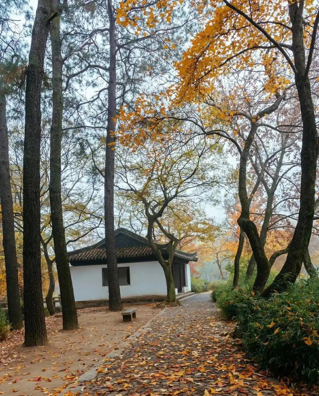 苏州秋季旅游最值得去的地方,苏州赏秋一日游攻略