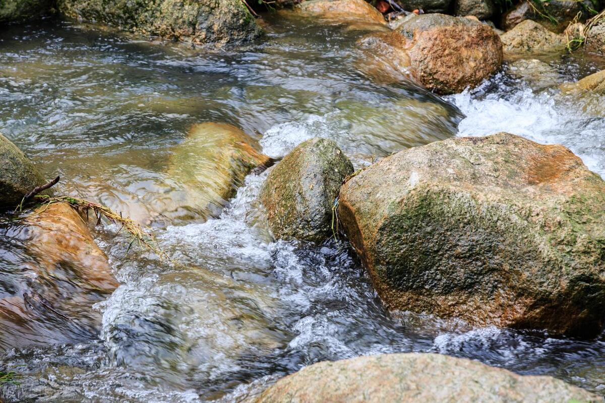 从化东成荷花园,从化摘荔枝之旅