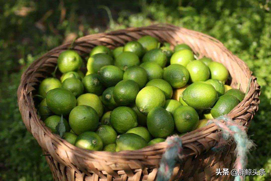对话百威亚太CMO：一颗青柠的奇妙之旅