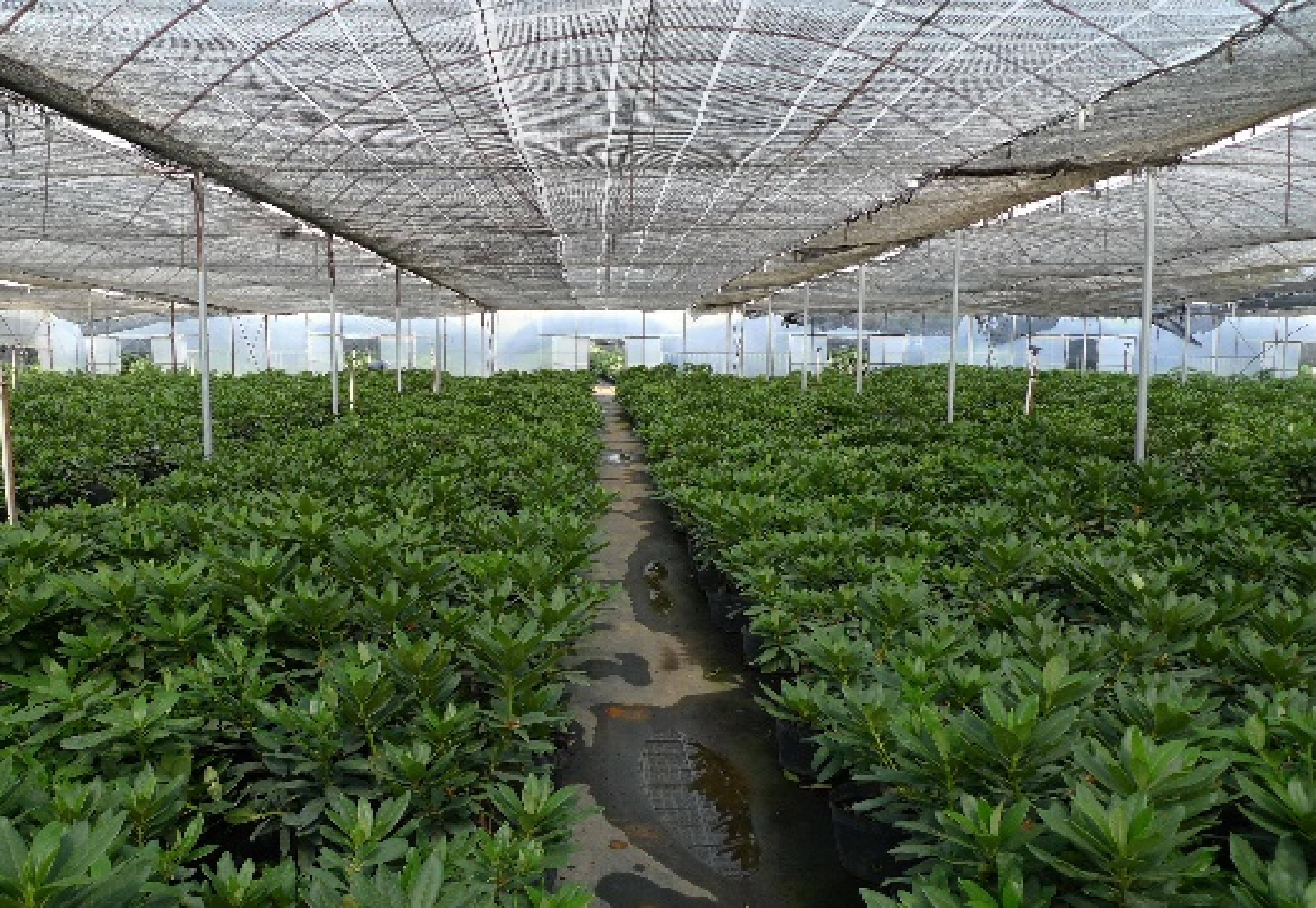 昆明新商机,云南官渡区最旺的商圈