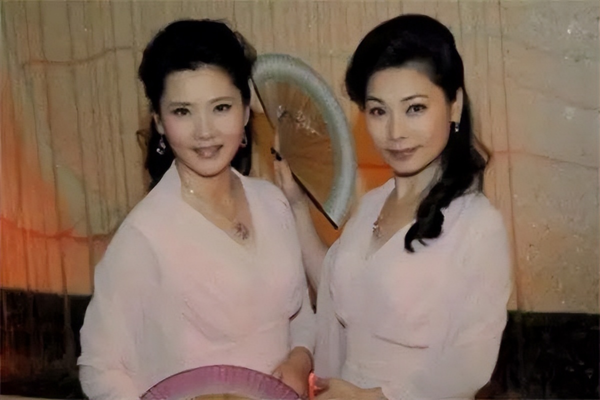 李冰冰姐妹花在娱乐圈打拼靠什么,十对明星姐妹