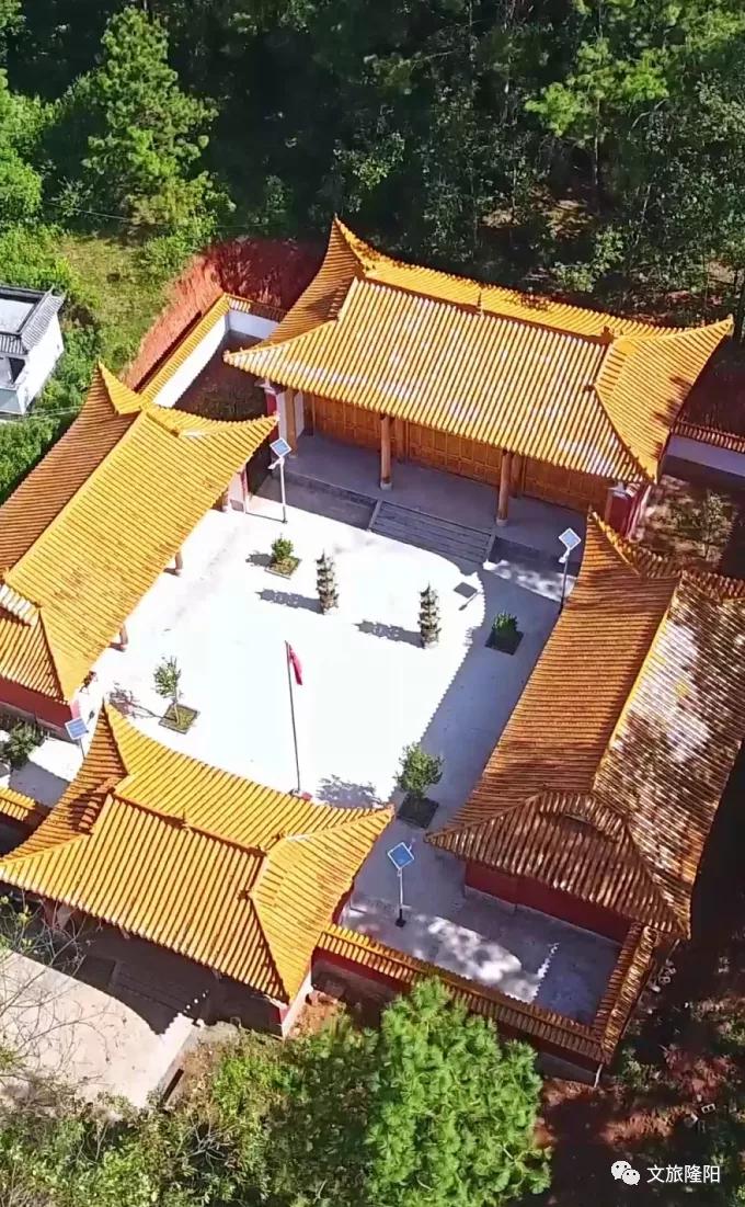 冬樱散场菜花香，蜂飞花间采蜜忙：用一天的时间去邂逅乡野风光