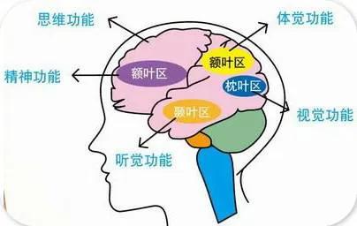 羊癫疯和癫痫能治好吗,长期吃抗癫痫药对免疫功能有影响