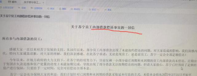 苏宁易购张近东负债多少,苏宁张近东谈集团债务