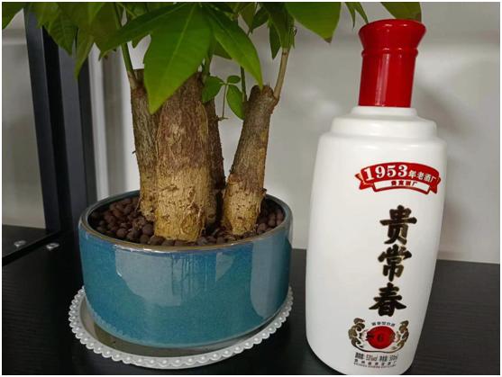 白酒多少度数最好喝呢,白酒多少度最好