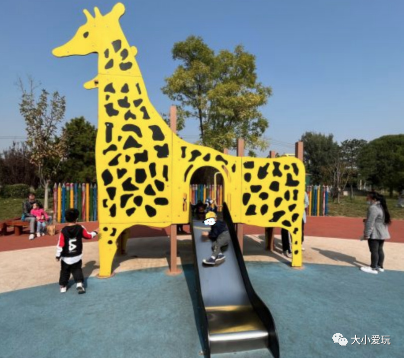 北京赏秋打卡地银杏大道,北京10条最值得打卡赏红叶线路