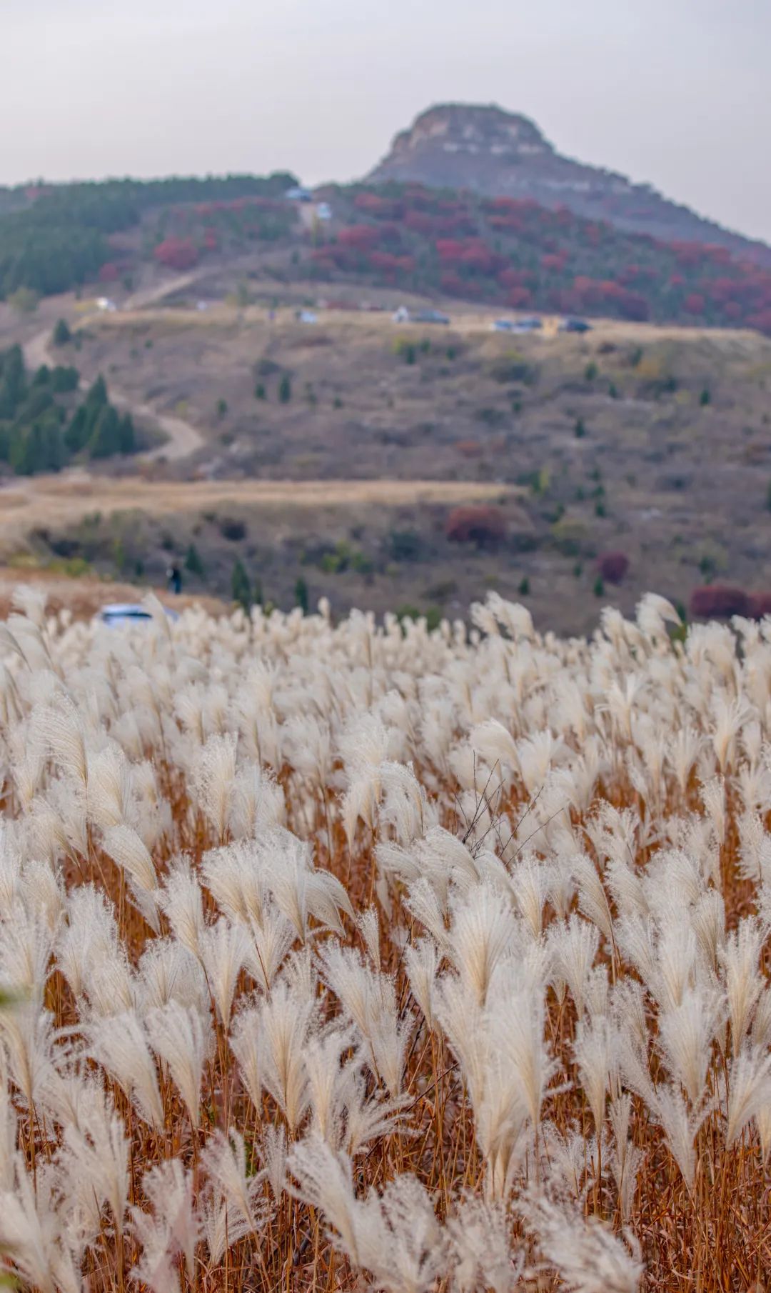 济南小众但是值得一去的地方,济南小众打卡圣地冬季