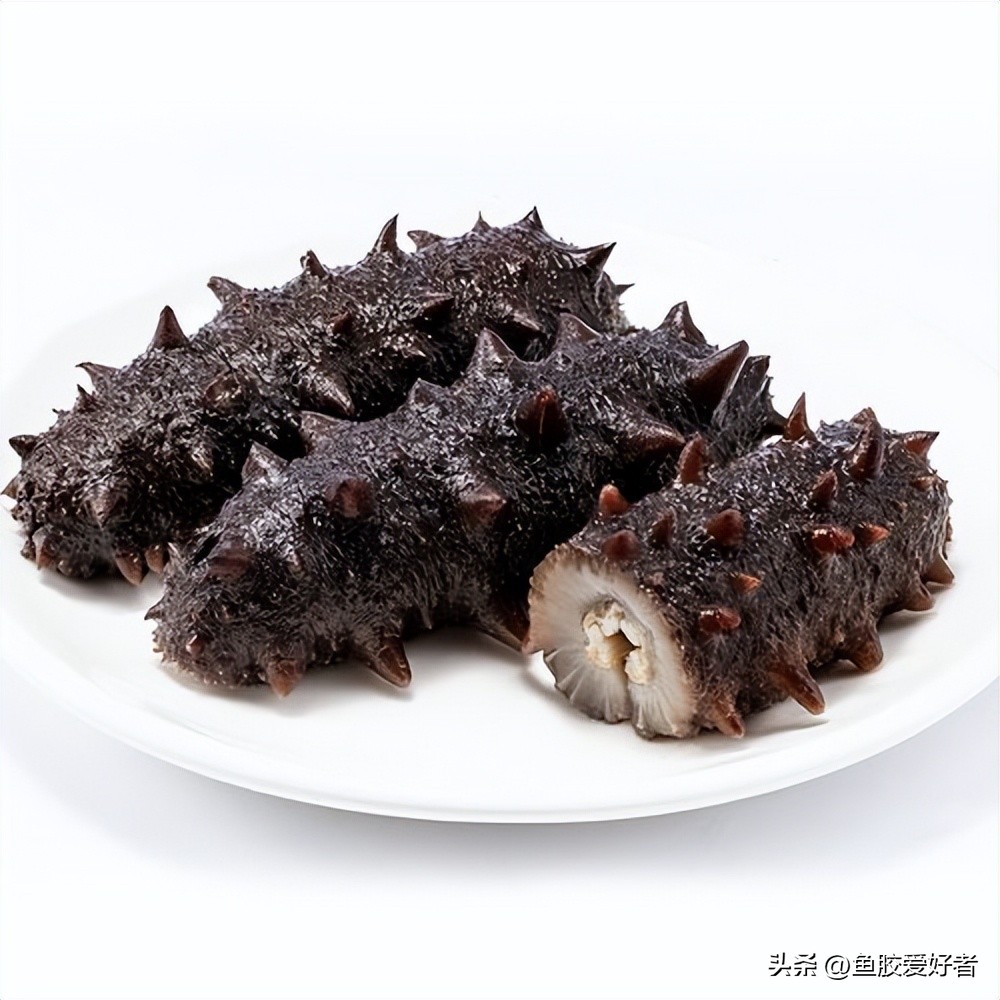 即食鱼胶怎么存放,朋友送的海鲜不知道是什么鱼