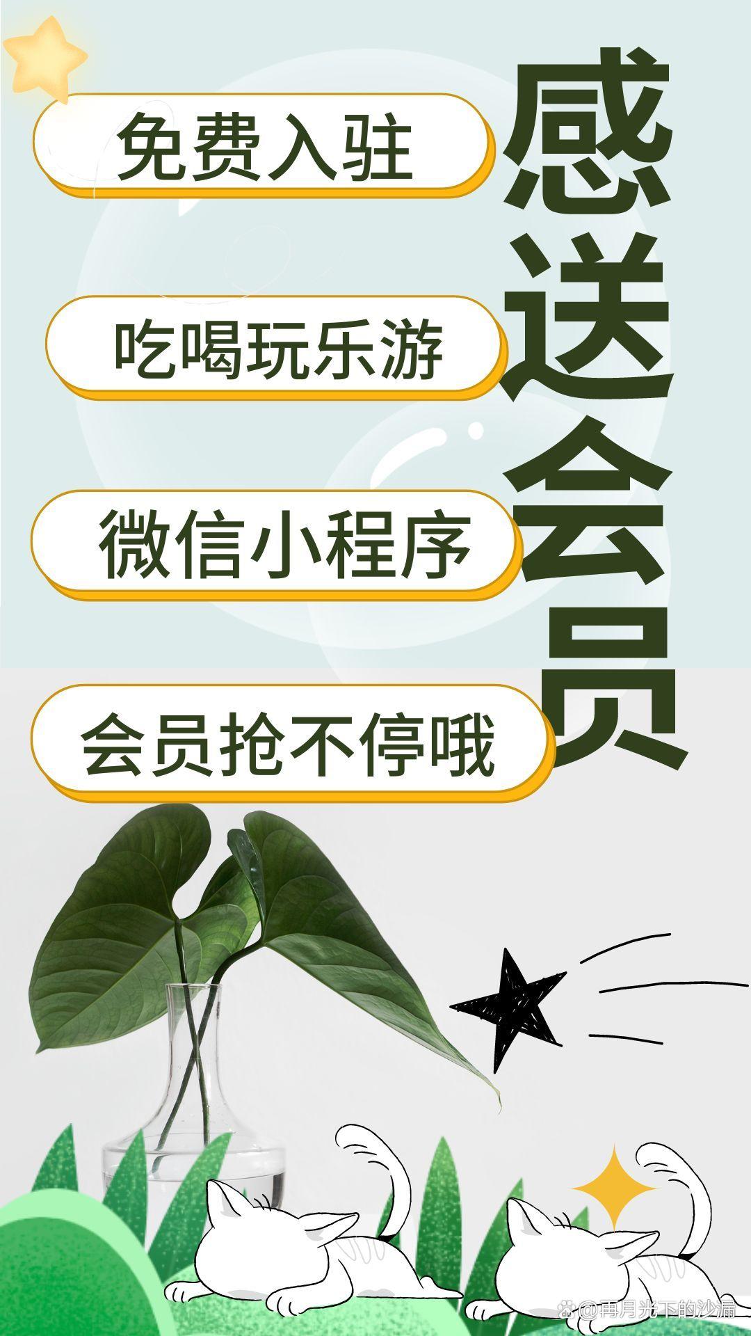 电子会员卡随你“仗剑闯天涯”——感送会员