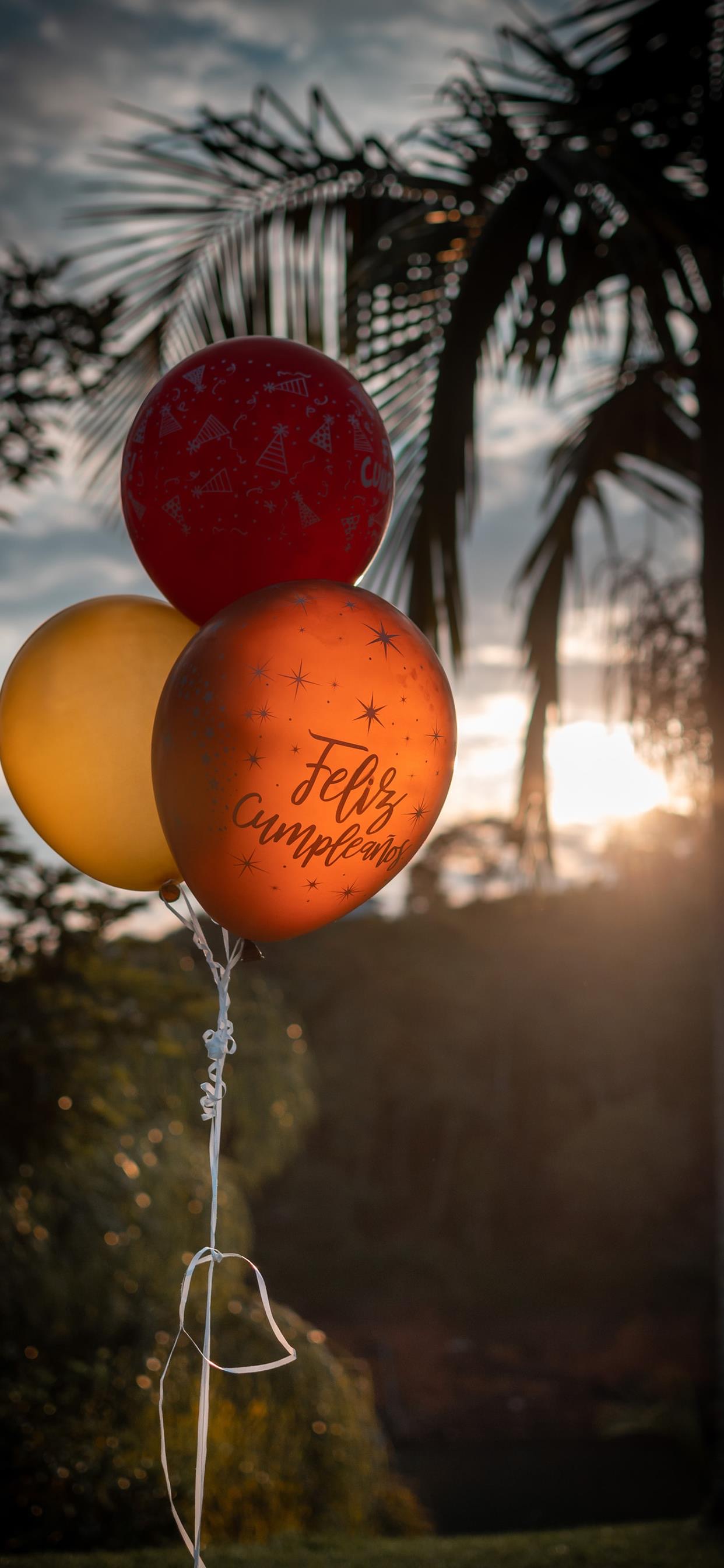 超治愈又好看的手机壁纸,推荐超好看的手机壁纸