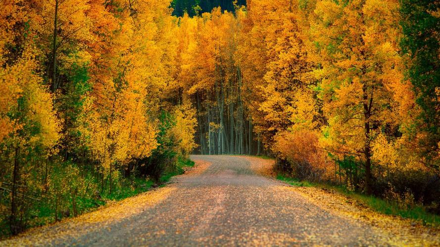 遇到不顺心的事怎么立即调整心态,遇到不顺心的事情句子