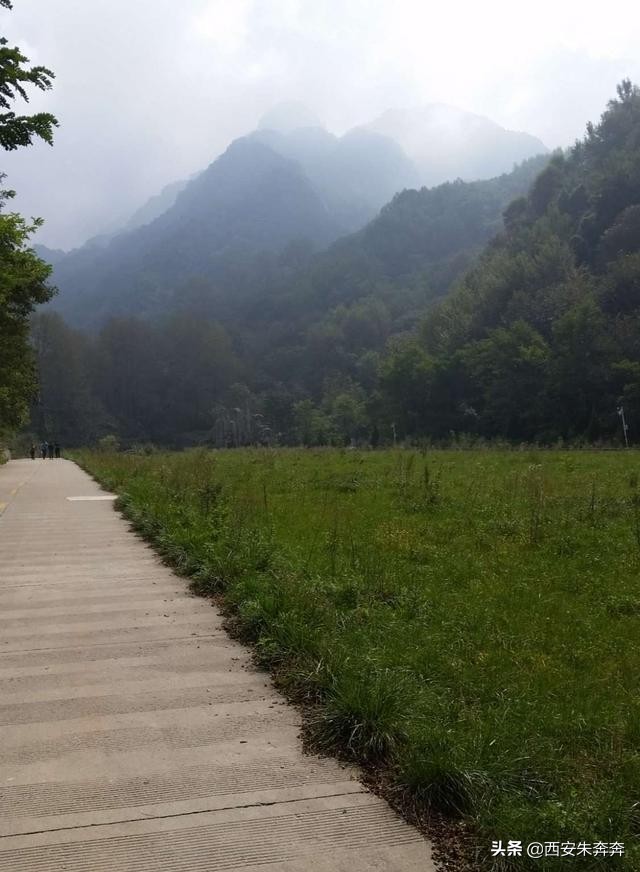 翠华山爬山攻略,翠华山爬山攻略一日游