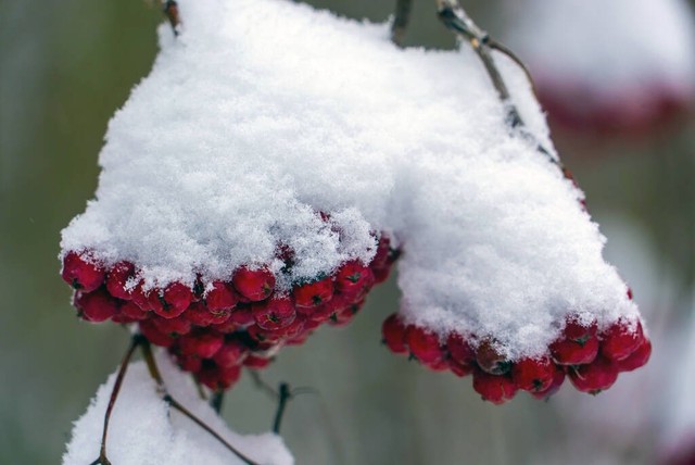 带冬的诗飞花令100句,飞花令冬的诗句100句
