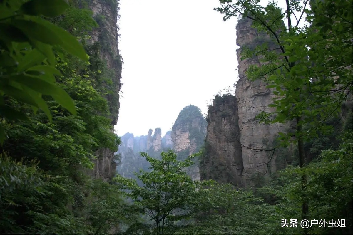 湖南张家界六日游攻略图片,张家界4天自由行攻略