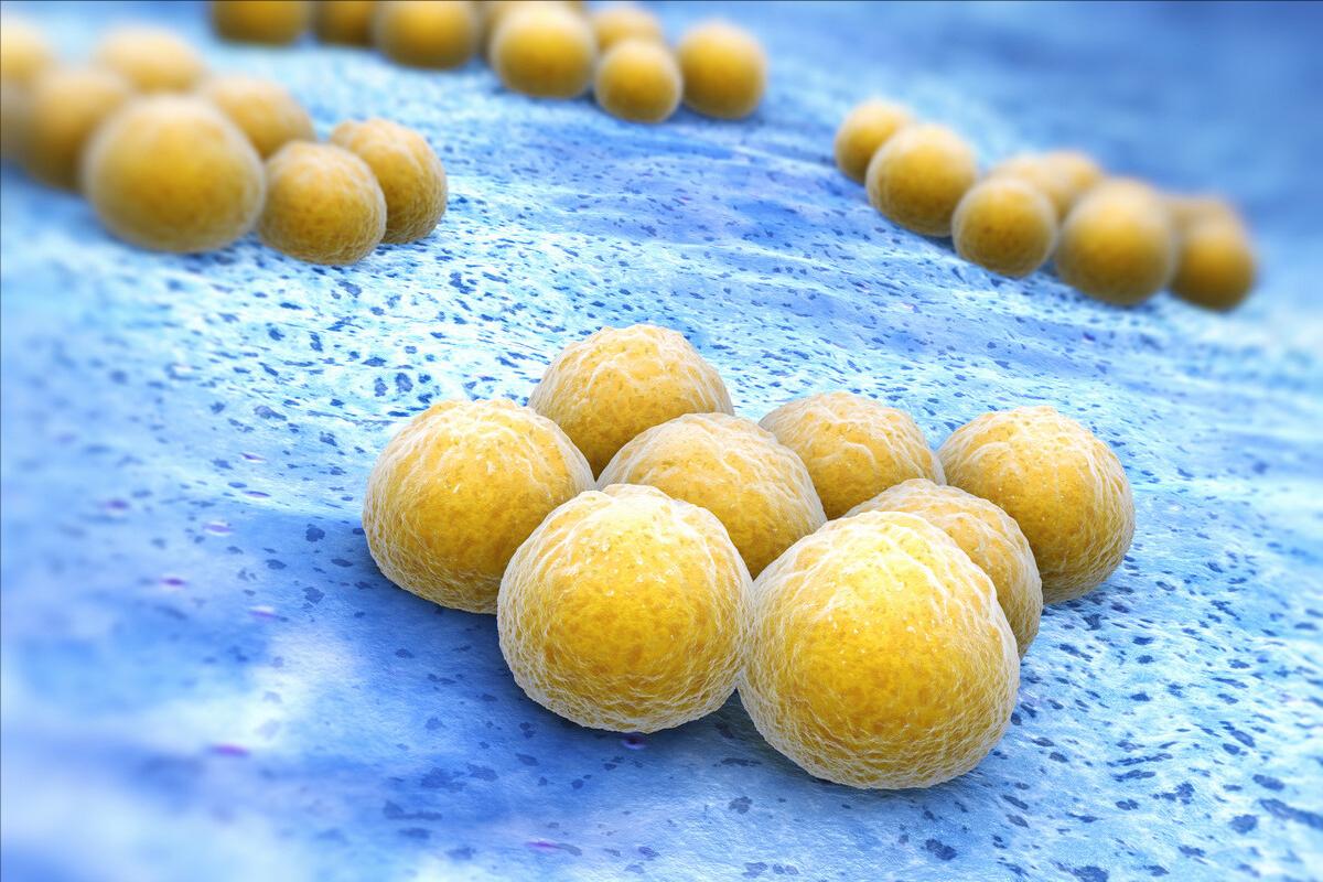 「健康科普」毛囊炎的致病原及治疗方法