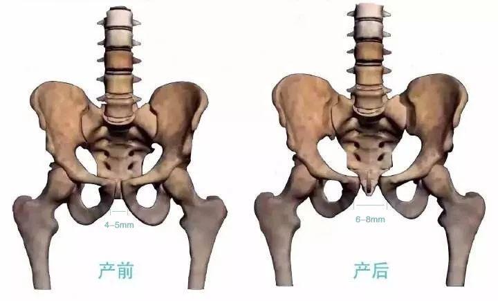 产后子宫修复避坑,瑜伽产后修复的十大坑