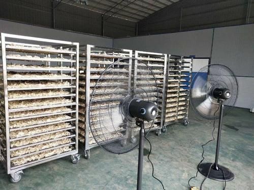 萝卜丝专用烘干机,萝卜干烘干设备