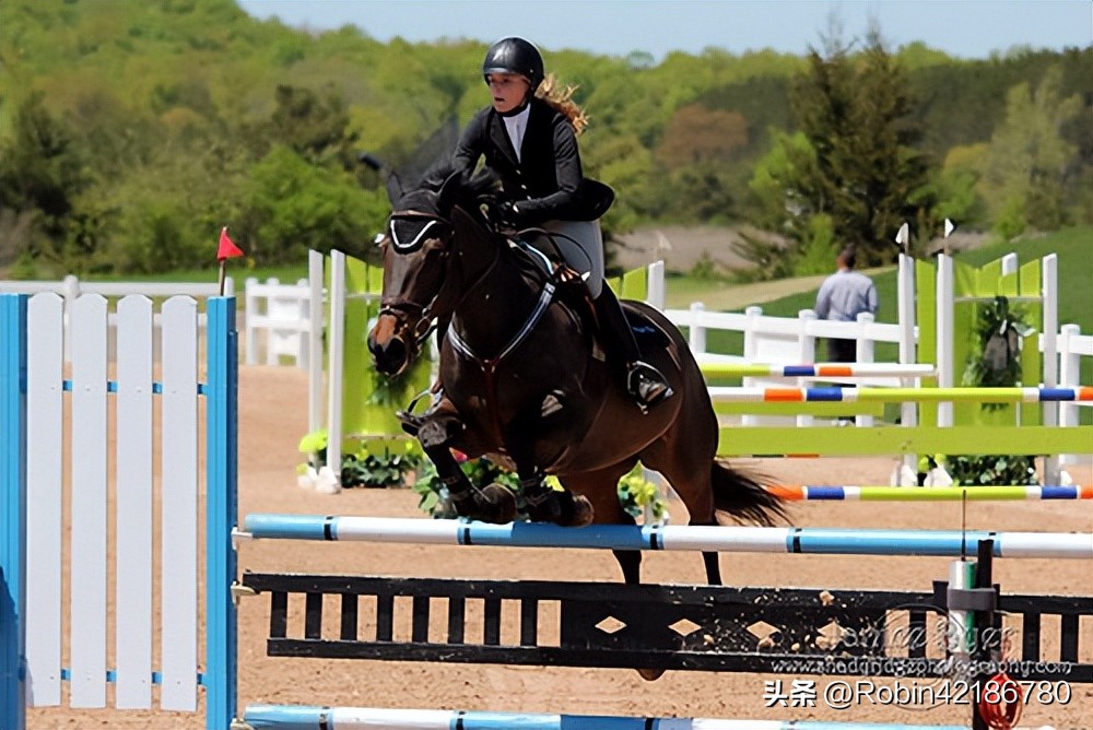 马术协会纪念手表,马术手表