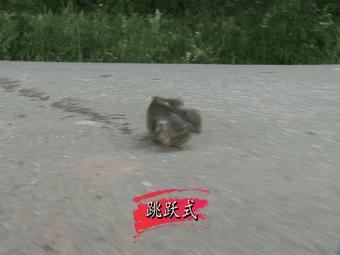 刚挖的水池时间久了，为何就会长出鱼?或与生命起源有直接关系