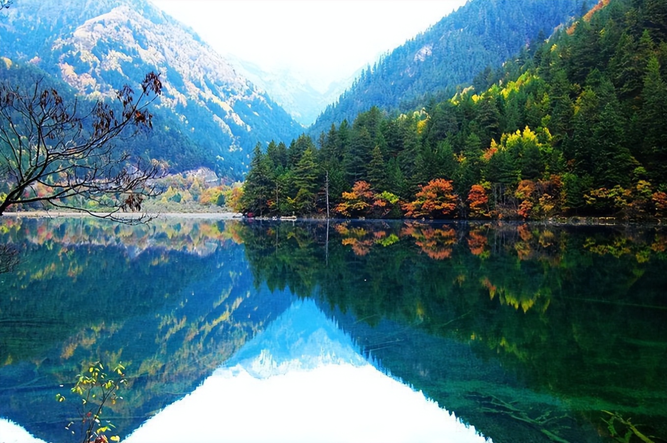 春风如诗字字多情30首好诗,最美春风古诗词