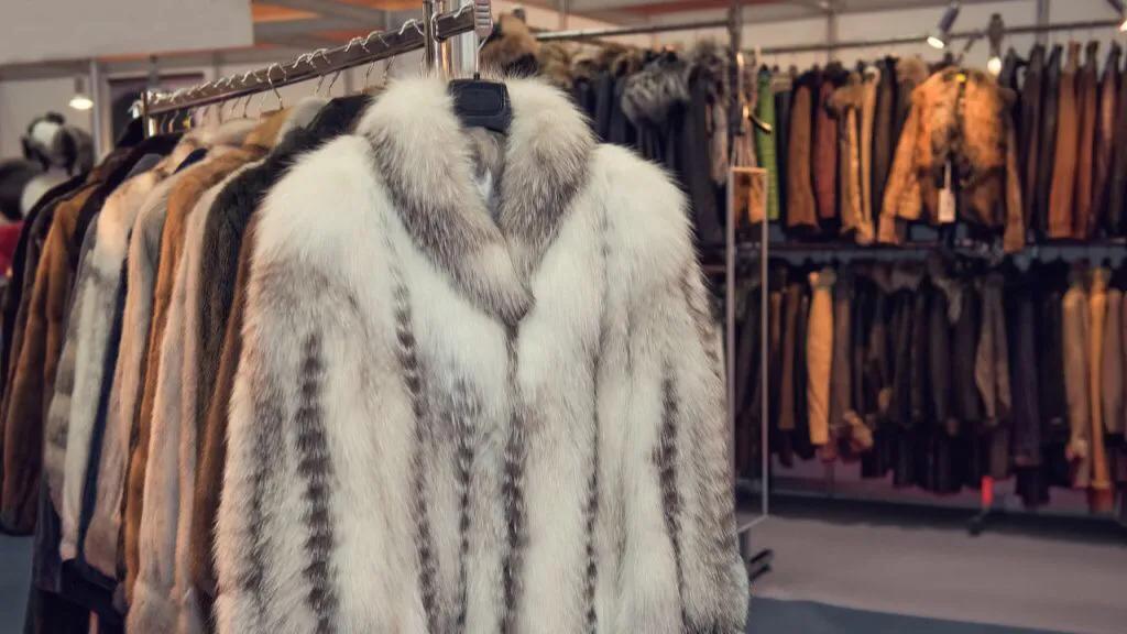 为何现在皮草不值钱,貂皮大衣为什么会被冷落