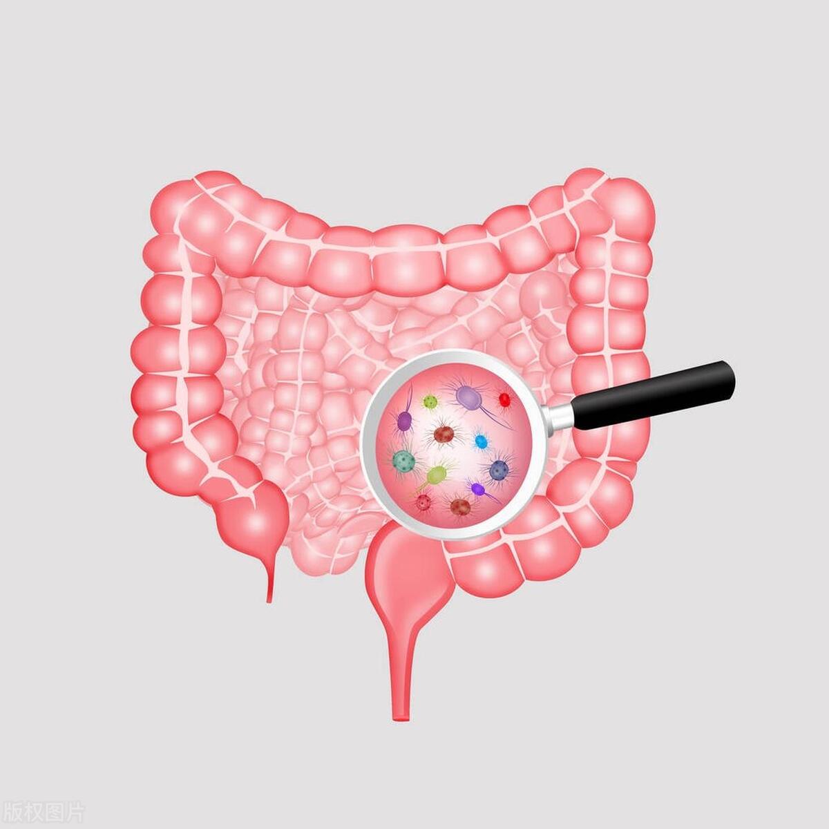 帕金森患者经常便秘怎么办,帕金森便秘为什么会做噩梦