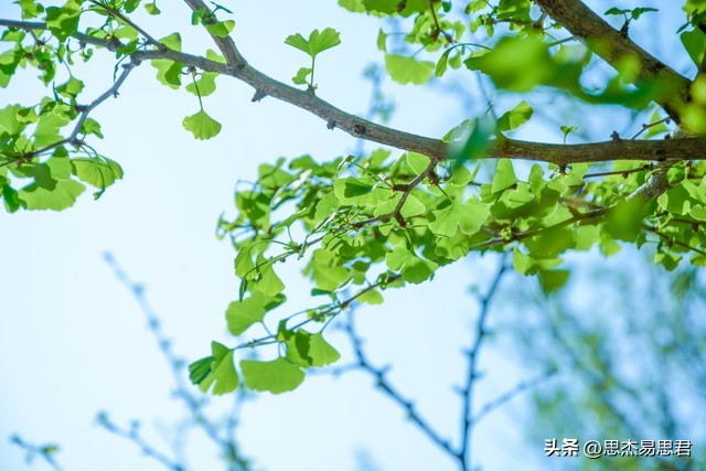 真正的高情商就藏在生活的细节里,啥也不在乎就是最好的活法