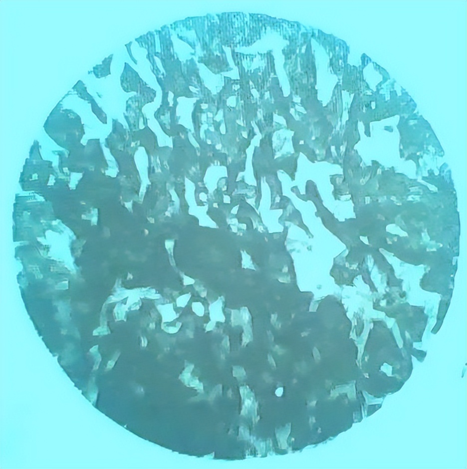 山东必去的捡石十大圣地大揭秘,戈壁滩捡石最佳地点