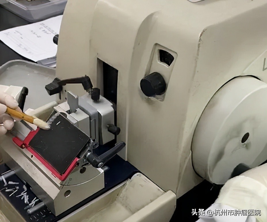 健康科普体检报告你会看吗,健康医学科普报告