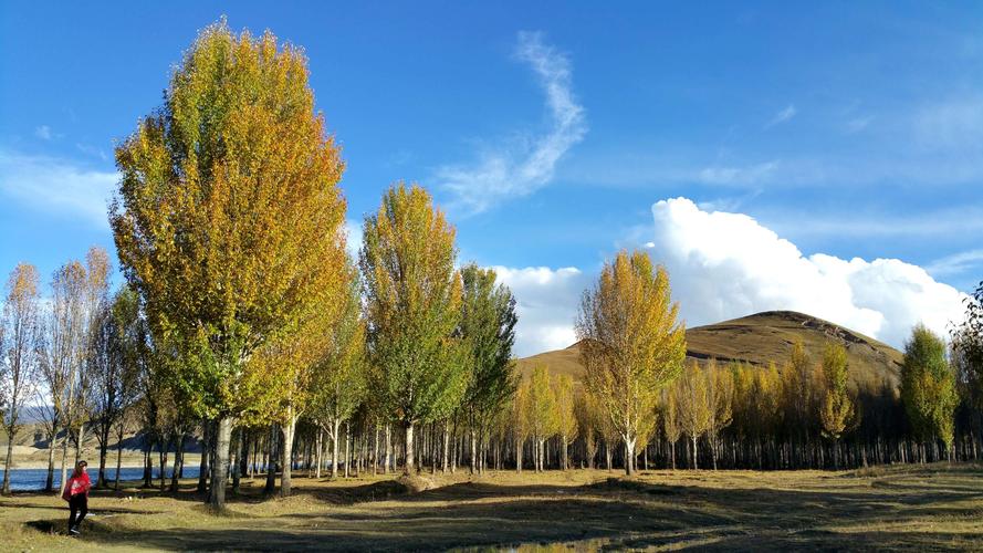 甘肃女子变卖家产花千万开发沙漠,女子砸千万家产完整版